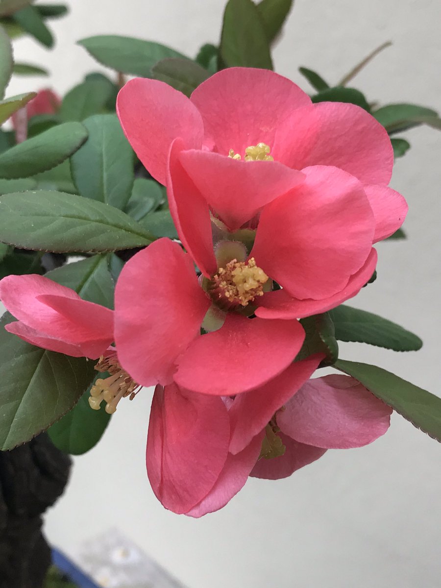 Dave Castro tweet media