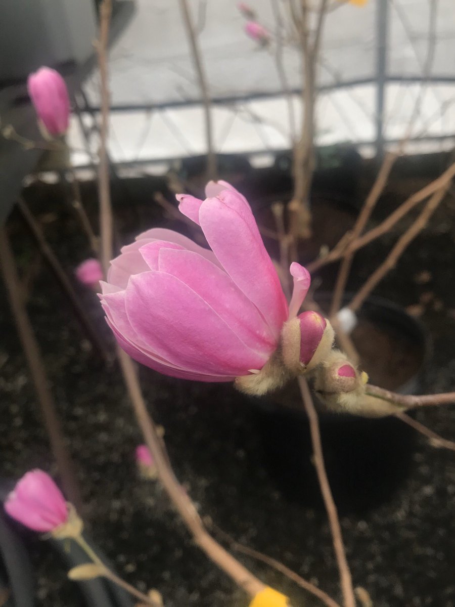 Dave Castro tweet media