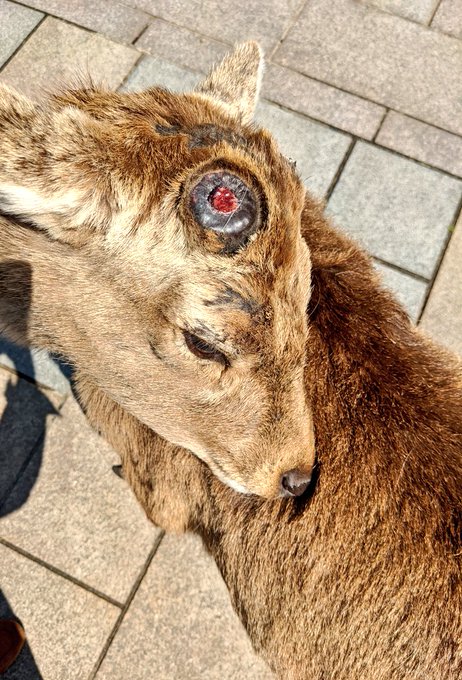 ãããŽæéĸæŽããâĻ