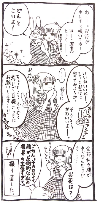 【うさぎ】お花より綺麗だったから 