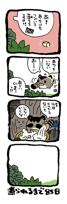 @DoyonoJun 100日後に煮られるタケノコ16 