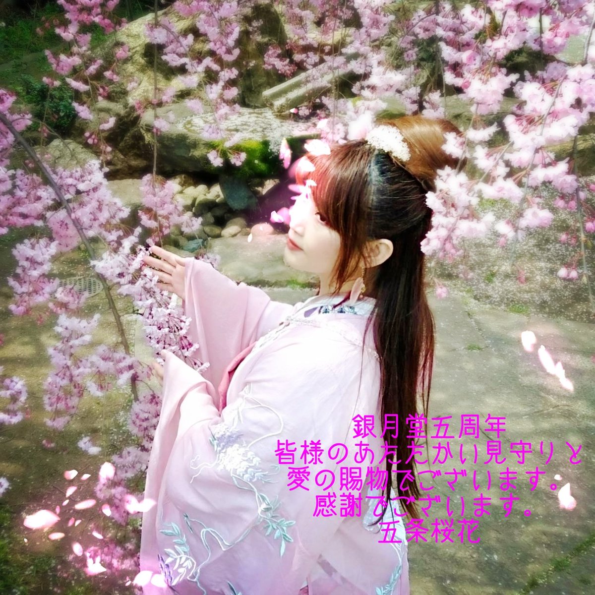 五条桜花 京都占い処 銀月堂 おはようございます 本日4月4日で銀月堂は五周年になります これも皆様の信頼と愛の賜物でございます 本当にありがとうございます これもどうぞよろしくお願いいたします 京都 占い 銀月堂 五条桜花 感謝