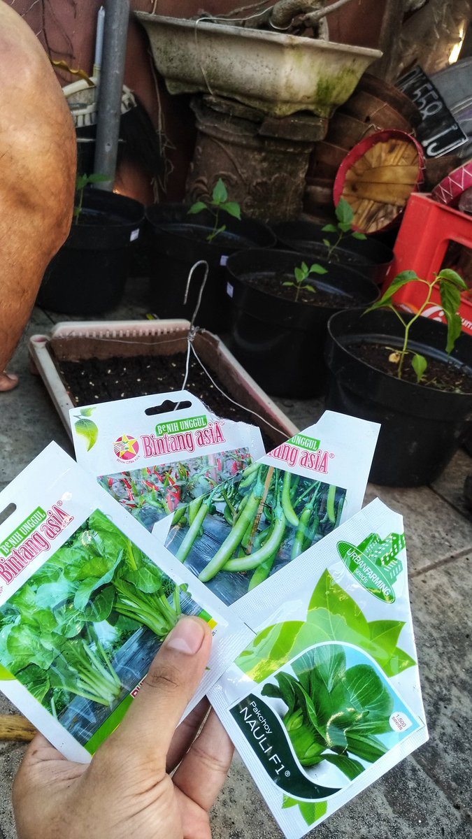 prab_ba's tweet photo. #stayathome mainan di pagi hari 🌱🌷 https://t.co/lytniwUugG