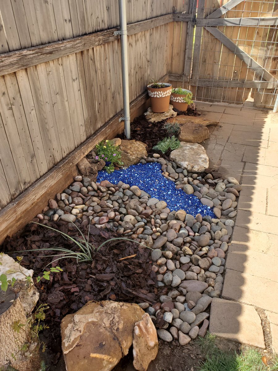 slm96b's tweet photo. @JRBrooks_MS Was able to get my cactus corner done after 3 years...yea https://t.co/iT0Ucy2TkE
