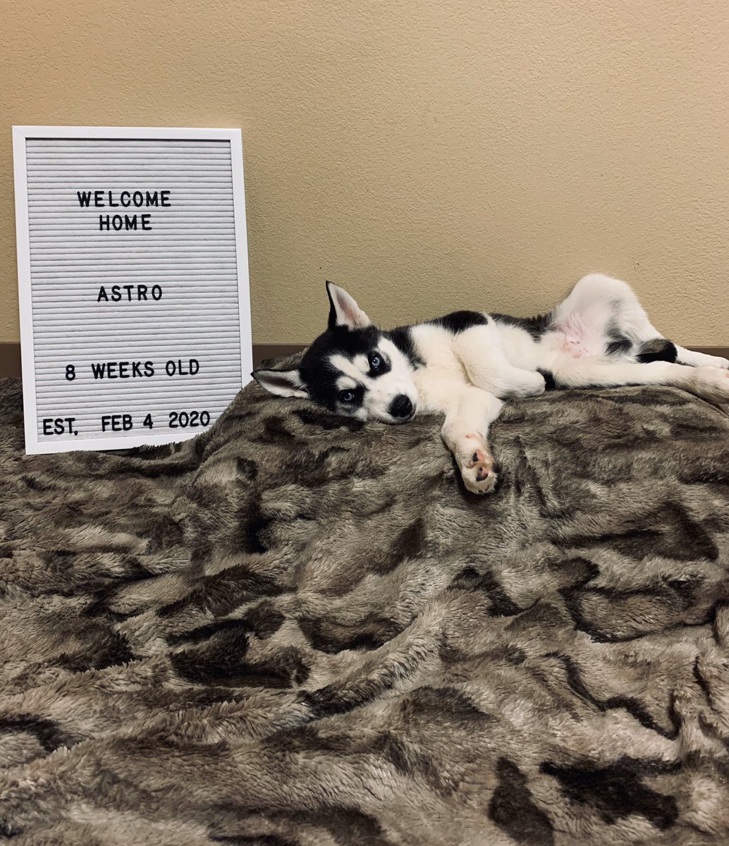 kaebaeman's tweet photo. 8 weeks today ☄️💙 9.90 lbs already https://t.co/PLUBeDcd57