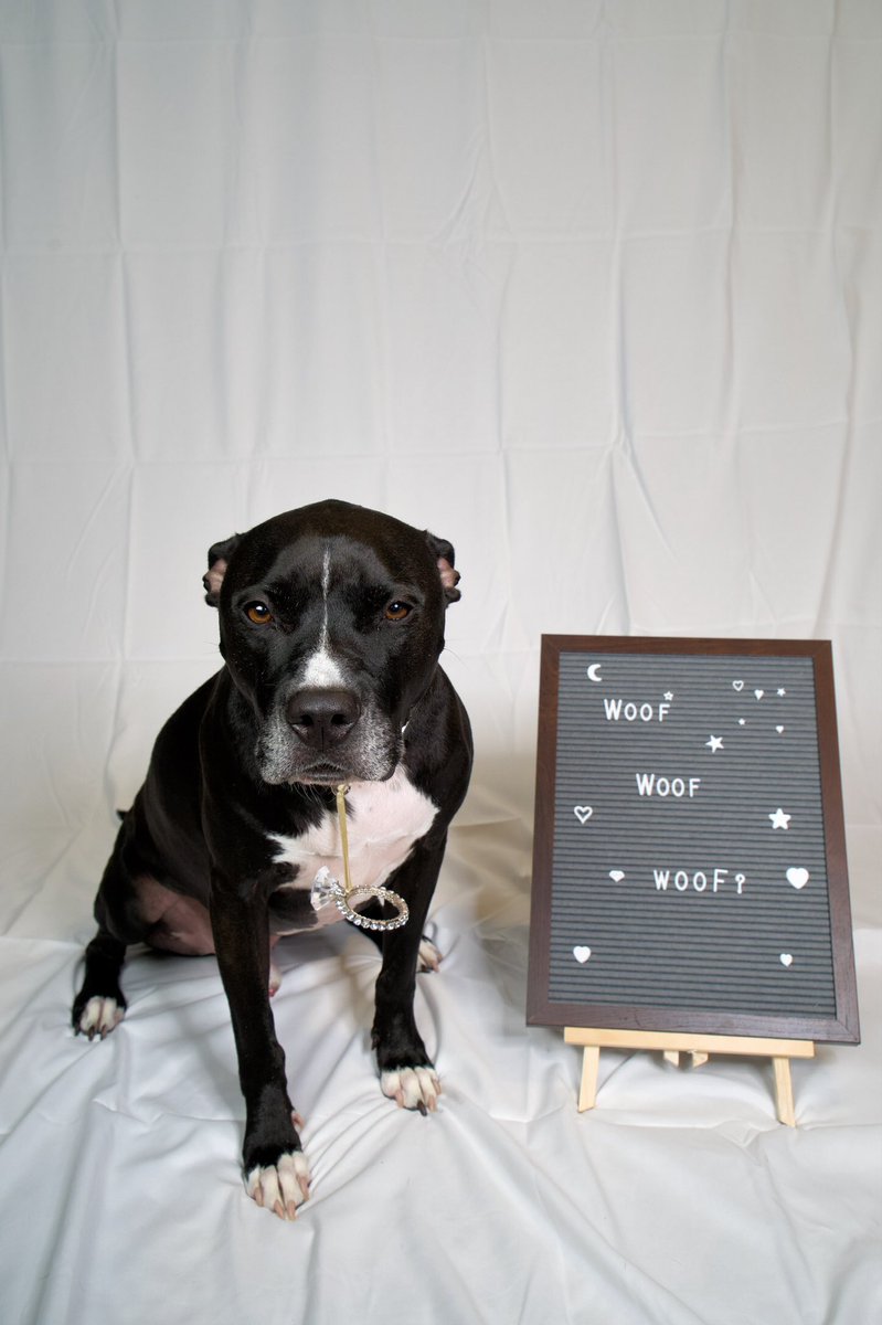 <a href="/Need4LSpeed/">Lauren Speed</a> <a href="/StellaArtois/">Stella Artois</a> I was originally suppose to get proposed to on the top of the high roller but life had another plan! #weddingcontest