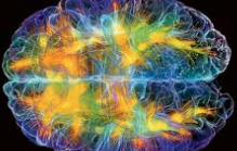 ecalixto's tweet photo. A diferencia de otras especies, el cerebro humano sabe que un día va de morir.
La confrontación con  la propia finitud desencadena las reacciones de gestión de miedo. https://t.co/eBOadinCtu