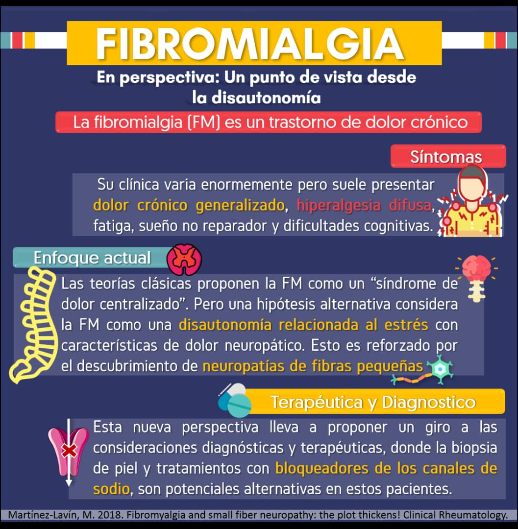 CEIC_IIC's tweet photo. En individuos susceptibles, un estado hiper-adrenérgico crónico puede conducir a un dolor neuropático a través de la hiper-excitabilidad de los ganglios de la raíz dorsal. De allí que  podrían considerarse  como posibles dianas terapéuticas. https://t.co/Xpe6jKMu7z