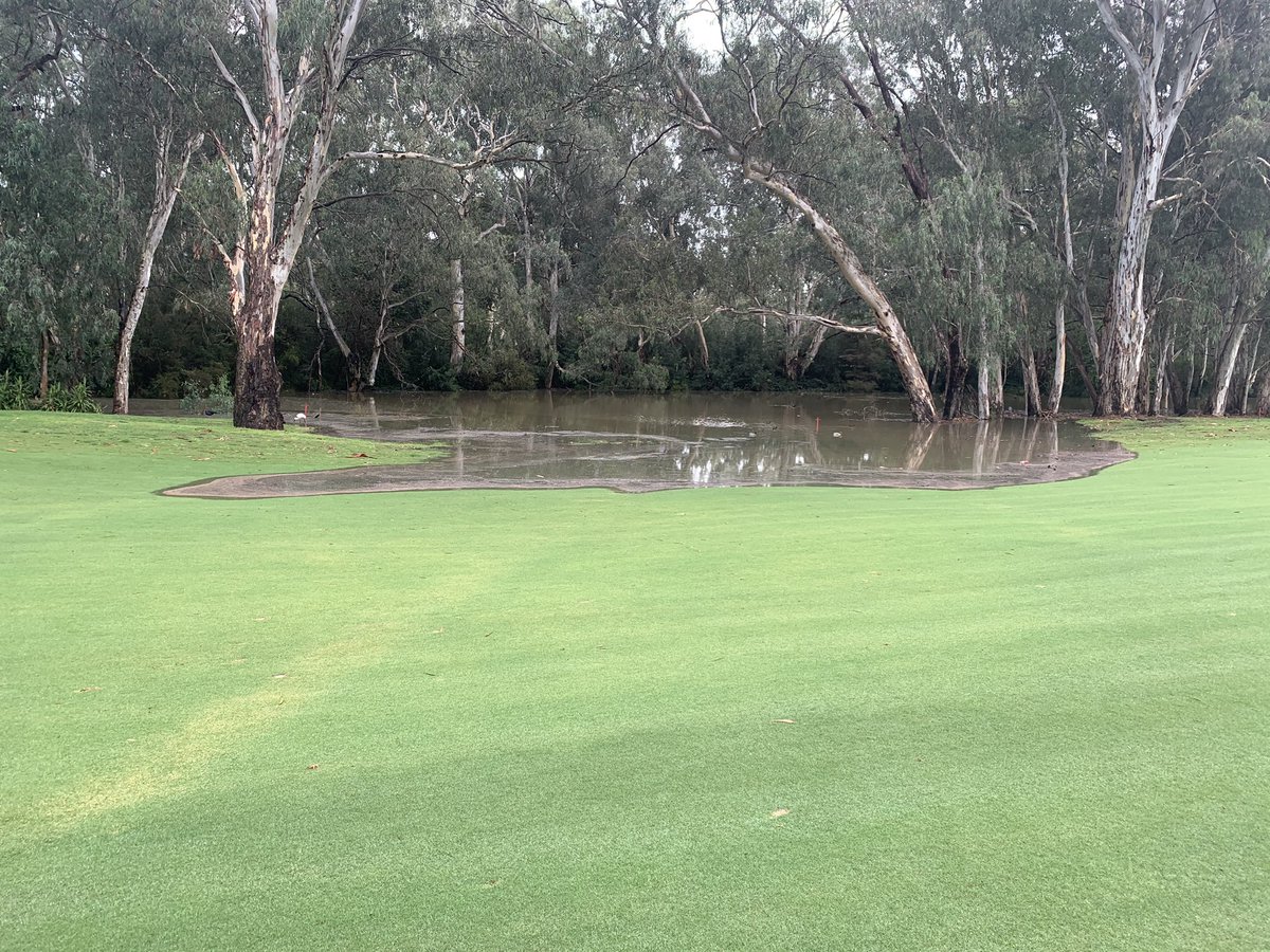KewGolfClub's tweet photo. Following 75mm of rain our attention has moved pretty quickly to flood watch. #coursestilldry #couldhaveplayed #yarracourses https://t.co/RKkiCyBJLc