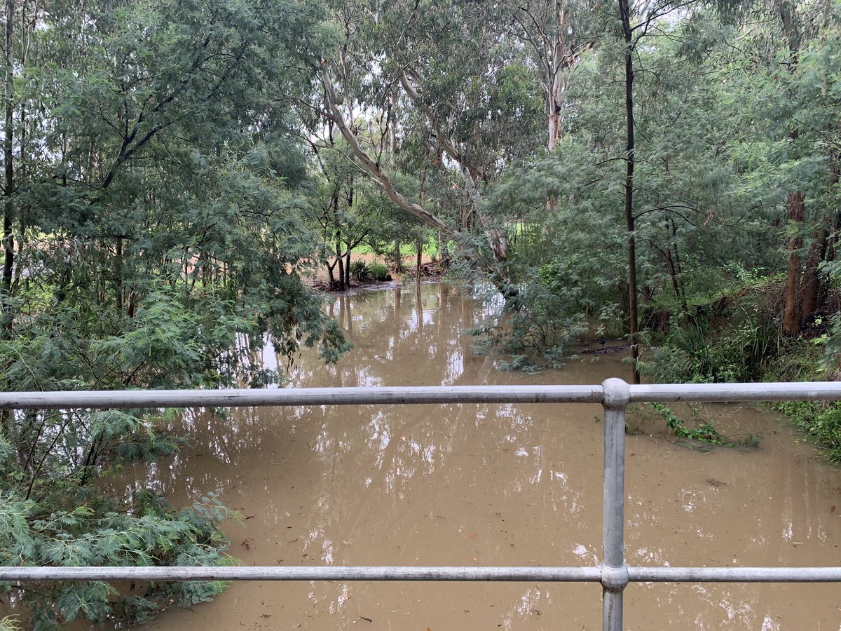 KewGolfClub's tweet photo. Following 75mm of rain our attention has moved pretty quickly to flood watch. #coursestilldry #couldhaveplayed #yarracourses https://t.co/RKkiCyBJLc