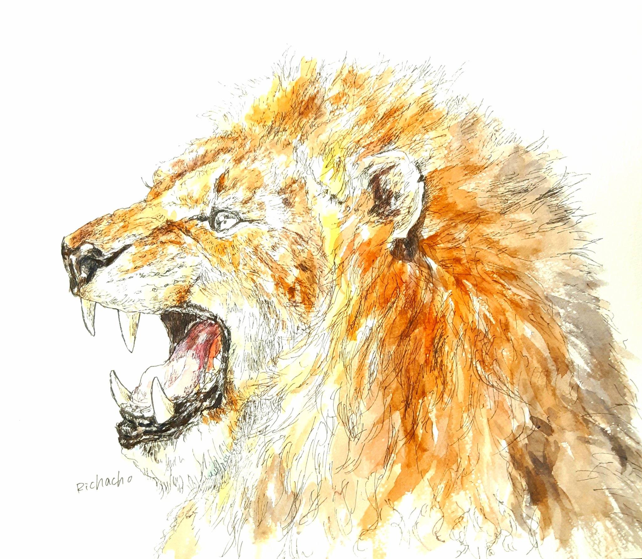 鳴海ヒョウ on X: 