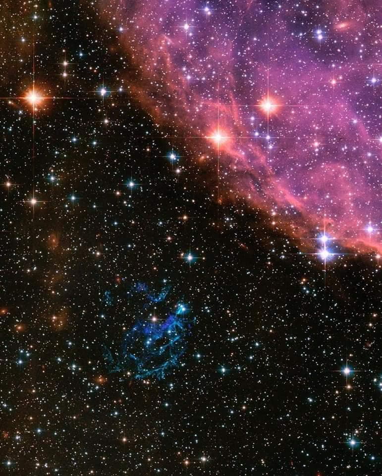 ๐ปโ. ๐พโ๐ธโ๐ผ๐ฝ๐๐๐๐ ๐ธโ๐ tweet media