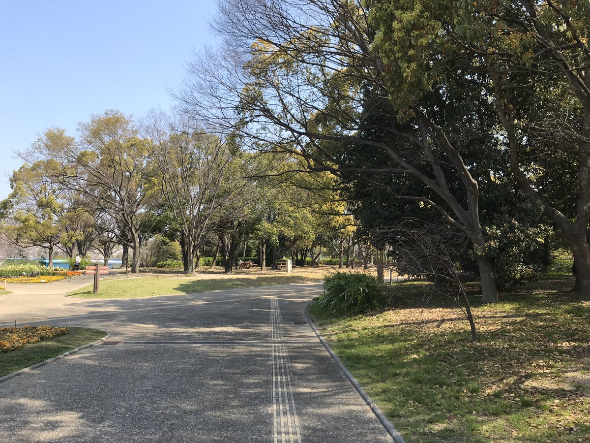 植物園案内無観客試合