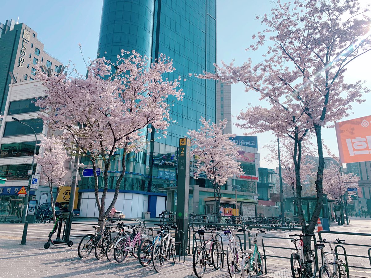 파니 리뷰 tweet media