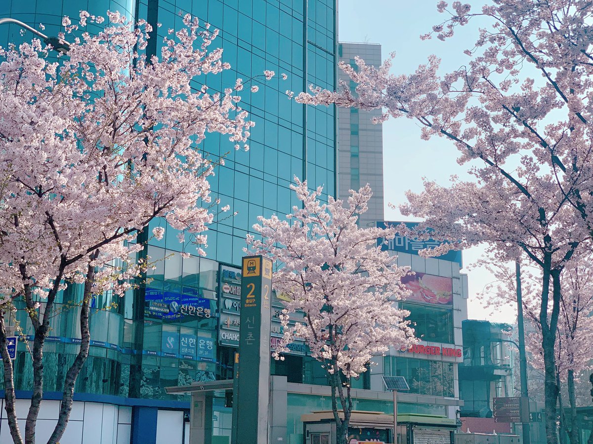 파니 리뷰 tweet media