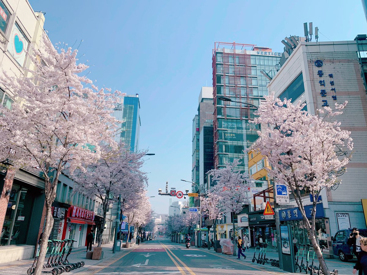 파니 리뷰 tweet media