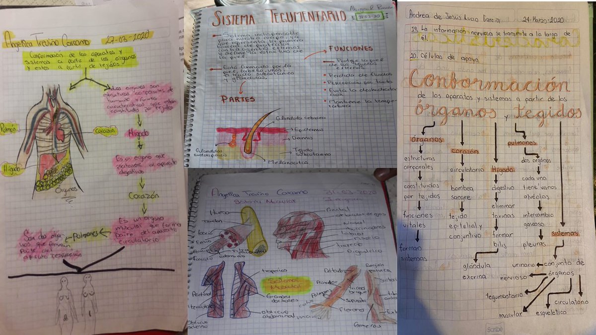 Tbc Num 234 Matematicas 234tbc Twitter