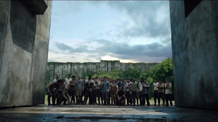 --the maze runner (movie series)these movies don't stick to the books too well, but on their own they're amazing regardless. the story is so unique and my only complaint is the fact that they turned the cranks into plain zombies. makes me the big sad but they're still stellar