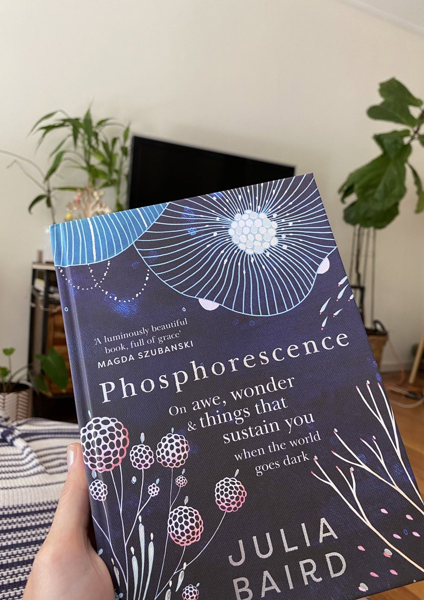 Amelia Shaw tweet media