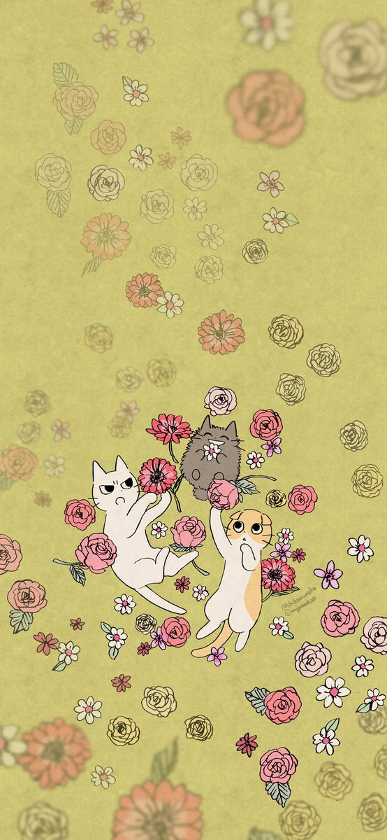 cat flower no humans pink flower animal focus holding rose  illustration images