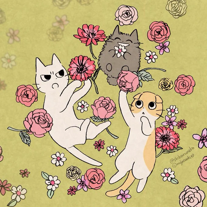 春のお花と しかるねこと あまやかすねこと ながめるねこ。
(よかったら壁紙も使ってね!) 
