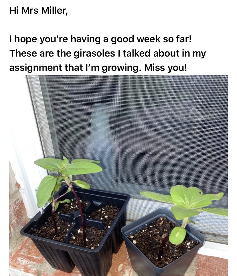 algogenial's tweet image. What an awesome first week of e-school ⁦@NorthwestISD⁩ ❤️ the connections,❤️ the students speaking in español about their break, ❤️ the thoughtful emails!