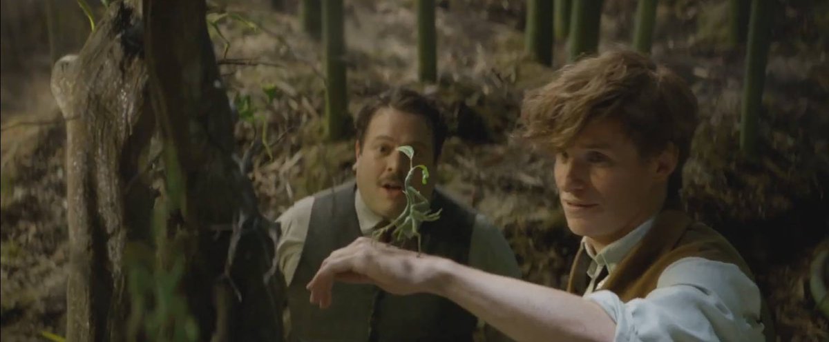 --fantastic beasts and where to find themthe only valid hp film imo BUT this movie is cute as hell. i relate to newt so much just bc,,, protecc creatures. shits going down in new york, wizard man appears, chaos ensues. pls watch this movie it's so adorable