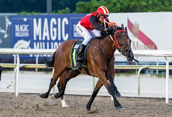 CurraghmoreNZ's tweet photo. 🇸🇬🐴 Great to see our @KarakaChat grad #WarFrontier win in Singapore on Friday. Congrats to breeder Mark Treloar, trainer Tan Kah Soon and owner Jeffrey Soh 👏👏

🗞️ https://t.co/TtDDrQvdb4 https://t.co/tz9eHiEezN
