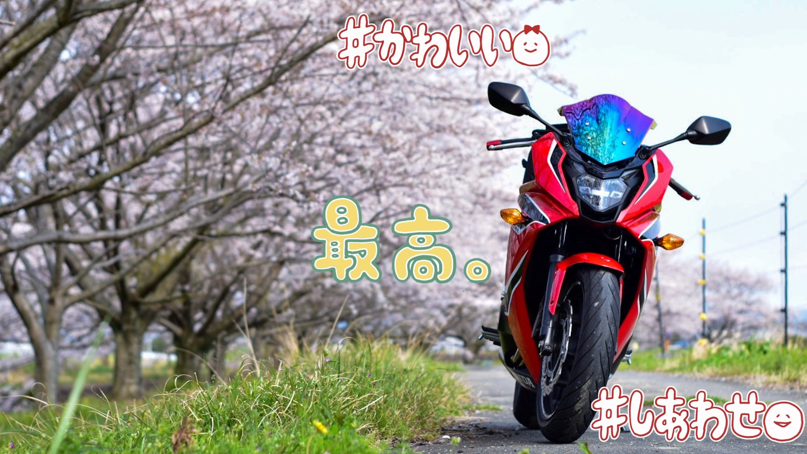 Mi Rider Mycbr650f 17 燃費33km L Cbr650f公式スペック31 5km L ミドルクラス4気筒ジャンルでこの燃費は感動 Viva ツーリングバイク T Co Uealqzcfpk Twitter