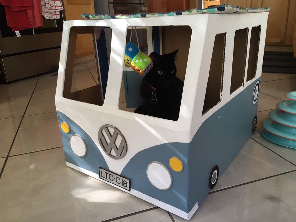 LuckyDaPuppyCat's tweet photo. @BengalPandora @TedMoko Beep beep! Pawty Van is here for a pickup ~ iCharley #charleycabservices #funwithboxes #vwbus https://t.co/TKxme2HBYi
