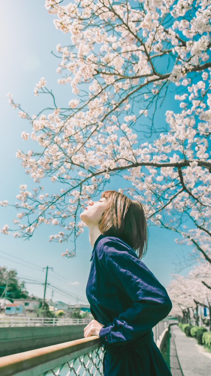 スマホの壁紙に使ってokです 僕が撮った彼女の写真