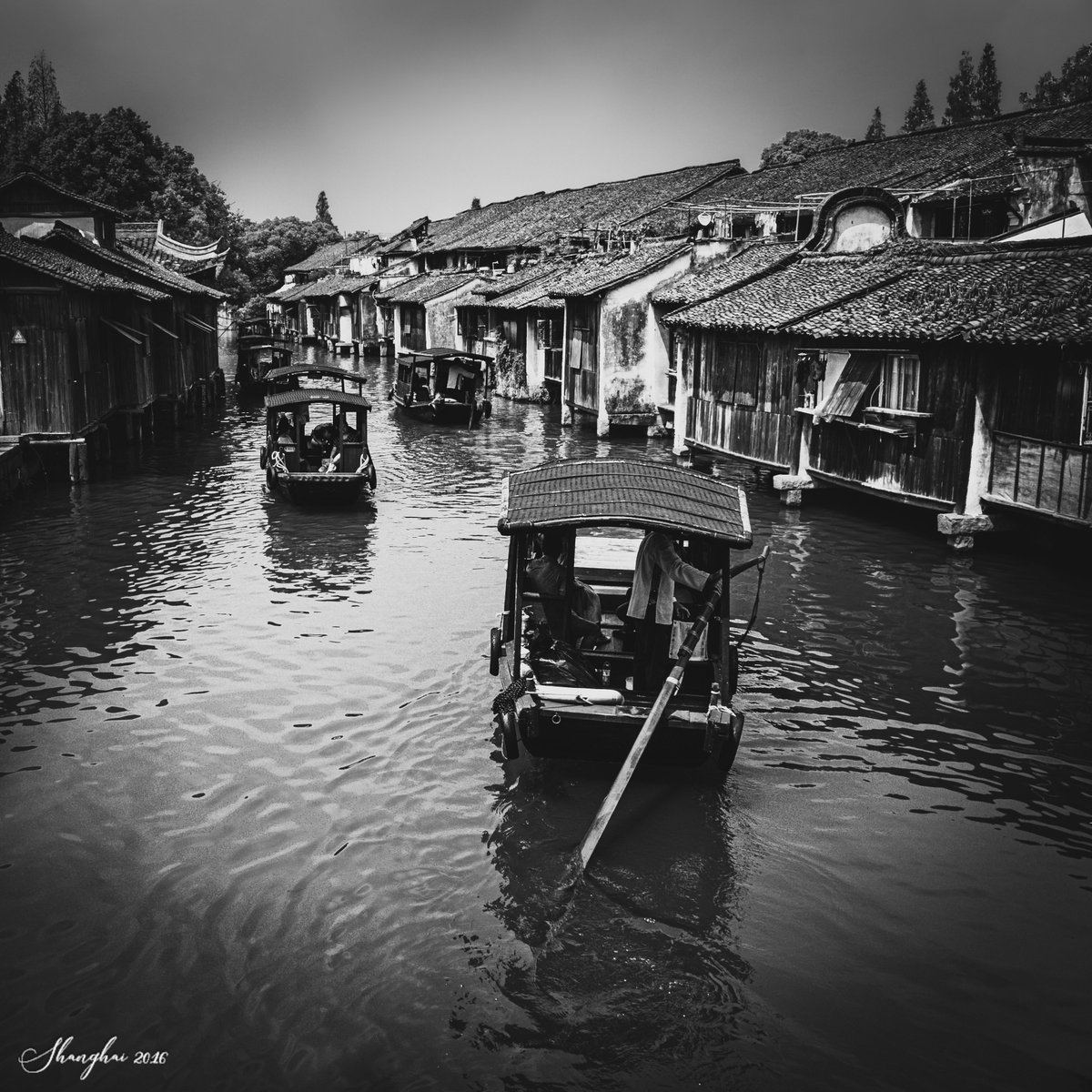 dannyscs's tweet photo. The Old way #art #conceptualart #blackandwhite #blackandwhitephotography #photography #blackandwhitephoto #bnw #monochrome #AP_Magazine #ThePhotoHour #DailyPhotoRTG @Nphotomag @YourDSLR
#ancient #old #wuzhen https://t.co/w91xnvO3KO