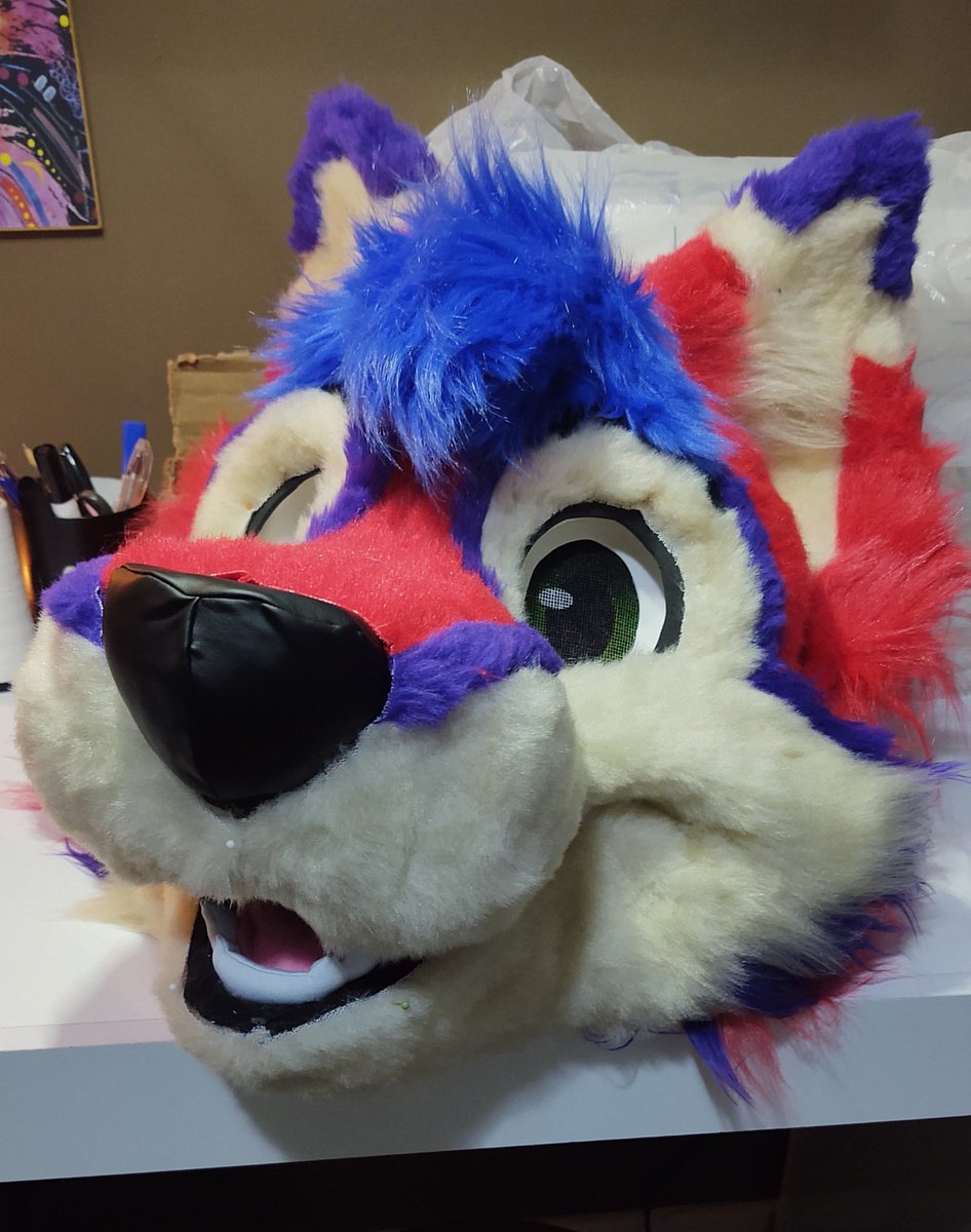 CaracalCreate's tweet image. Check out this dog! Kayvo the husky is ready for glueing, except I'm out of glue and the stores are all closed 😅 I'll be working on his paws and tail in the meantime!
#fursuitmaker #fursuitwip @KayvoClockwork