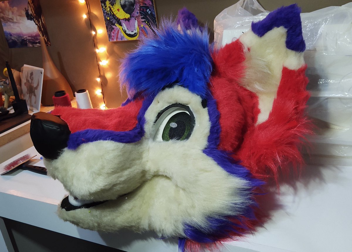 CaracalCreate's tweet image. Check out this dog! Kayvo the husky is ready for glueing, except I'm out of glue and the stores are all closed 😅 I'll be working on his paws and tail in the meantime!
#fursuitmaker #fursuitwip @KayvoClockwork