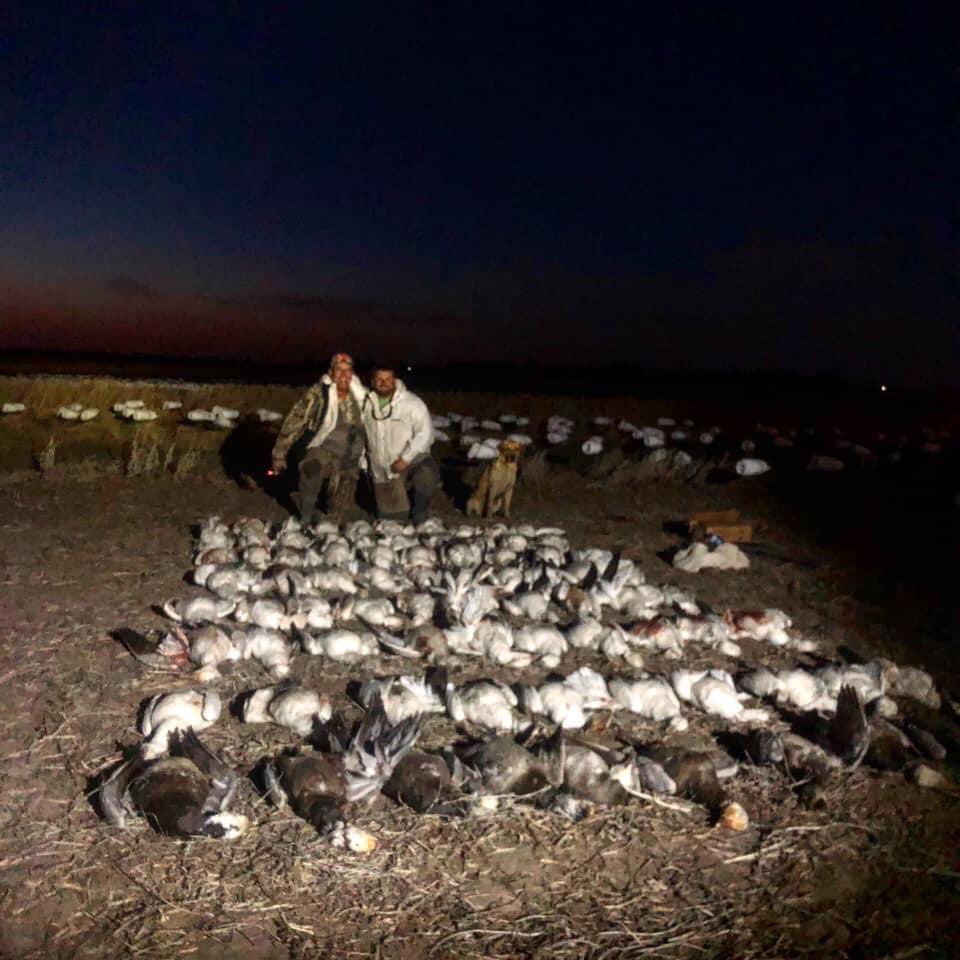 Duck Wild Waterfowl tweet media