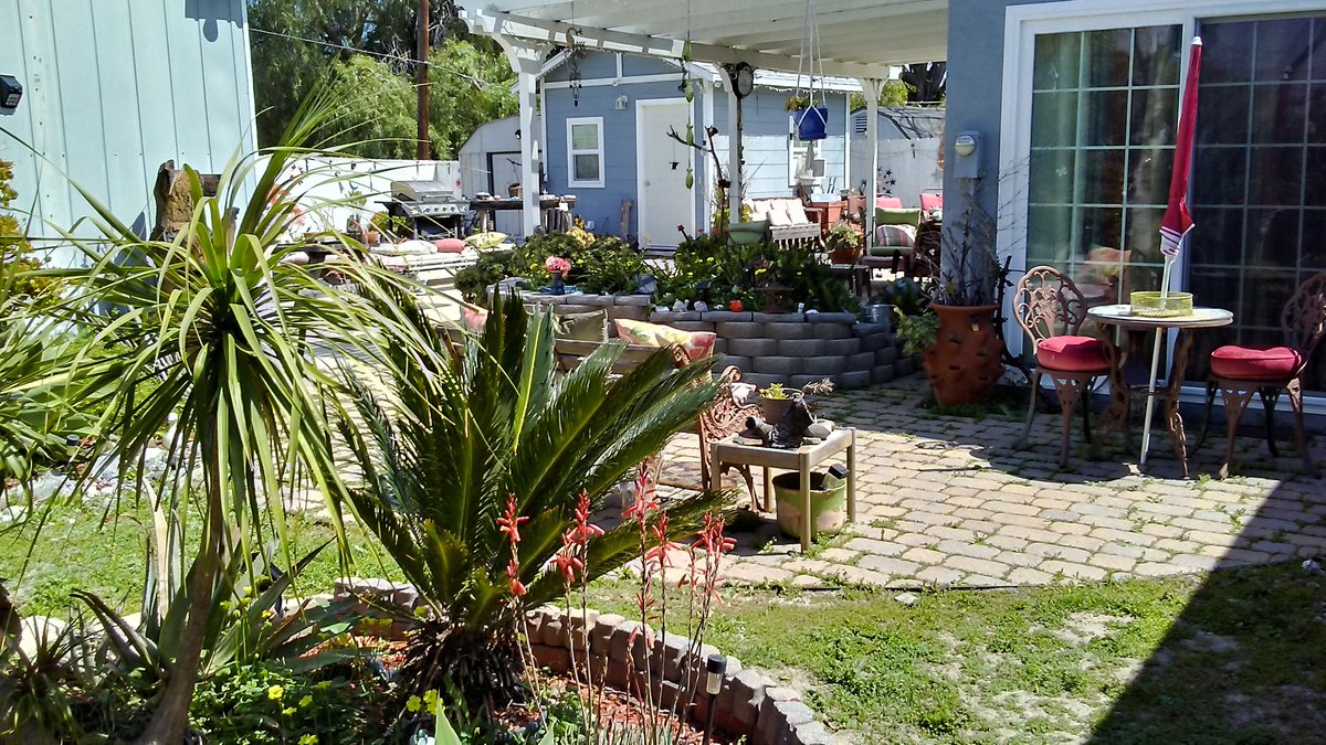 MsRubyTuesday's tweet photo. Naturally after spending 2 days resetting up the outdoor furniture that has been in storage since November &amp; prepping the back yard for spring... I learn more rain is on the way. #ReadyForSunshine 🐇🌸🐝 https://t.co/j2trEv2g4k