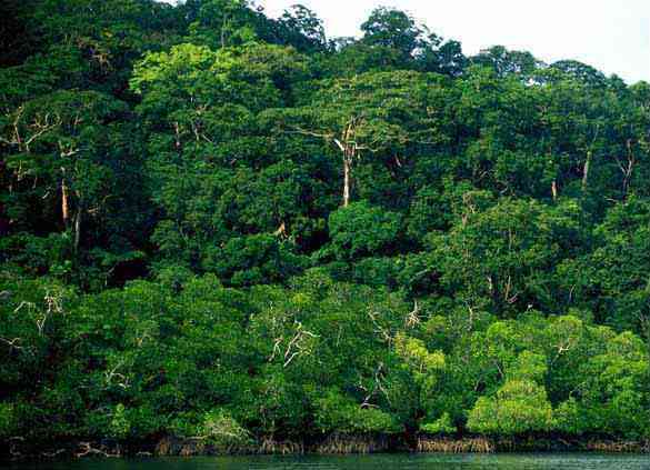 andamantech's tweet photo. #Kadamtala is located about 24 km southwest of #Rangat and 77 km #NorthOfPortBlair.
https://t.co/vQrYaeotDR https://t.co/x8KRFraXy2