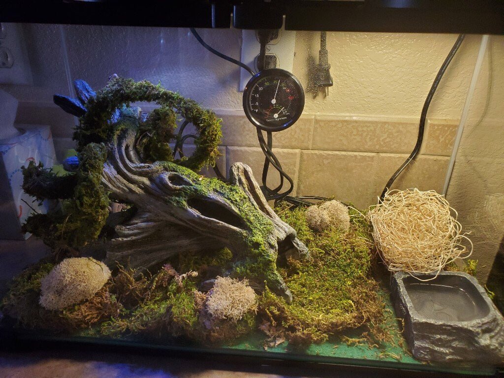 Danica Garza tweet media