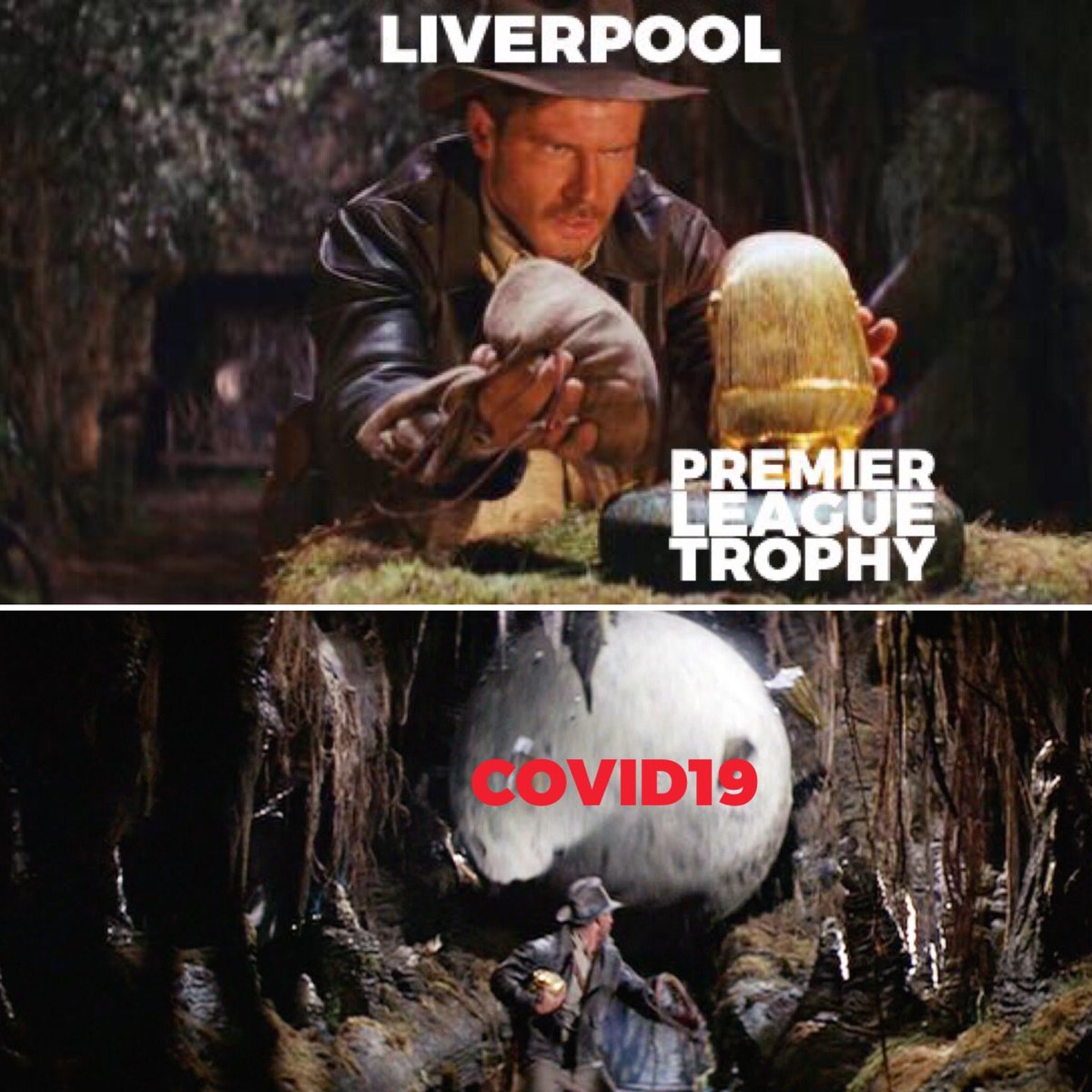 Life on earth is a delicate balance ... Don’t mess with it ....