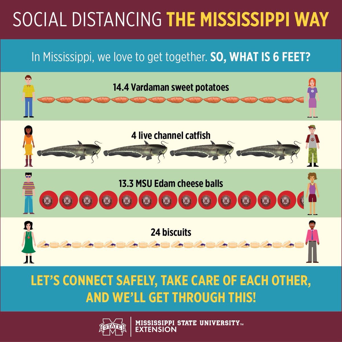 friel's tweet image. You would think Mississippi State University would know what a Channel Catfish (#Ictalurus punctatus) looks like (e.g., forked tail). These look like Wels Catfish (#Silurus glanis) given the round tail &amp;amp; long anal fin.🤣 #FishFails
en.wikipedia.org/wiki/Channel_c…
en.wikipedia.org/wiki/Wels_catf…