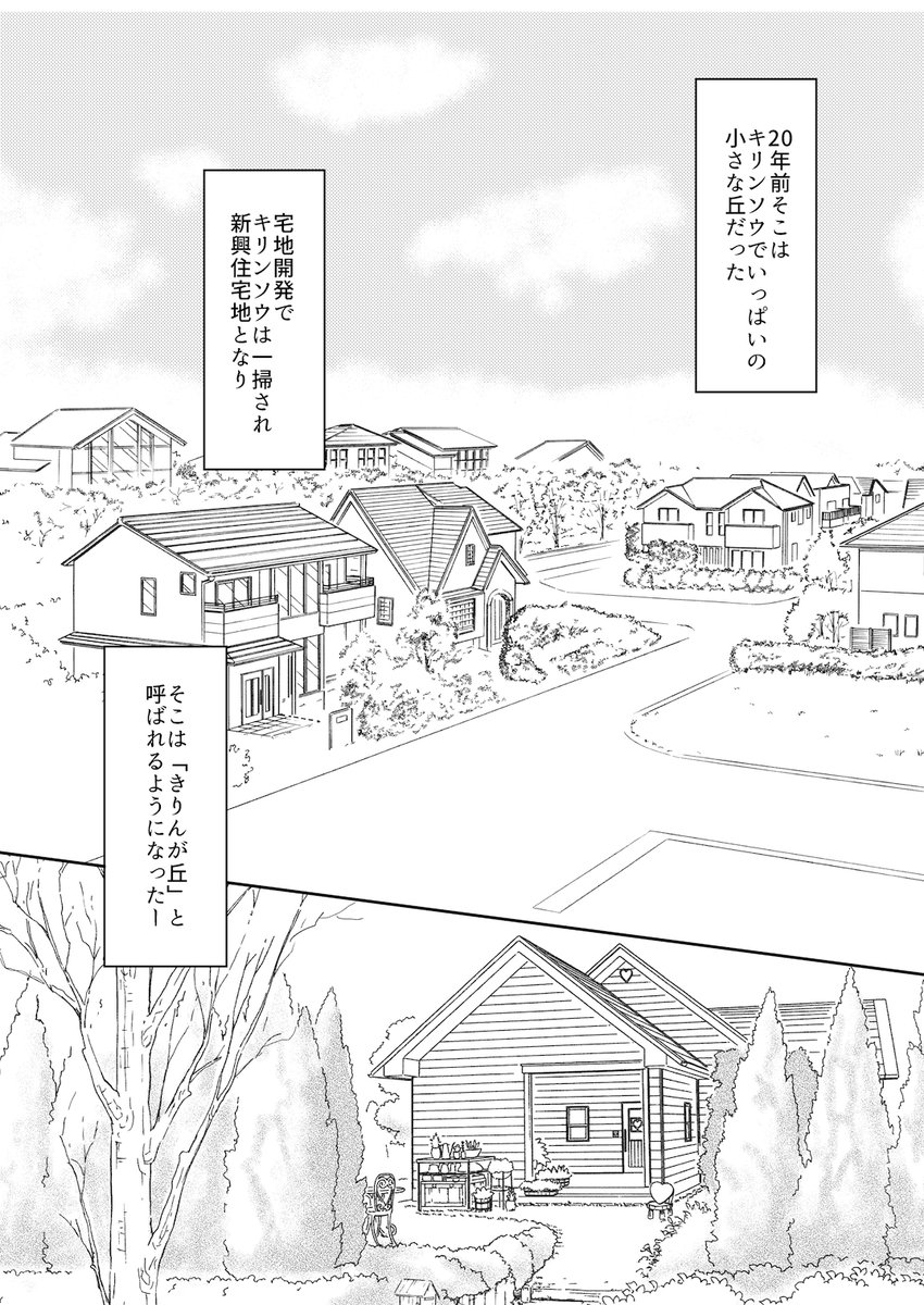 【ちょっと変わった店主とお茶してゆるっとするお話です】「ココロ屋のアルバム」〜「かわいい箱庭」
年を取って求められることが減って
「自分の存在」を考え始める老齢の女性
そんな彼女の心がふんわり
1/5
#きりんが丘のココロ屋 #ココロ屋のアルバム #お茶時間