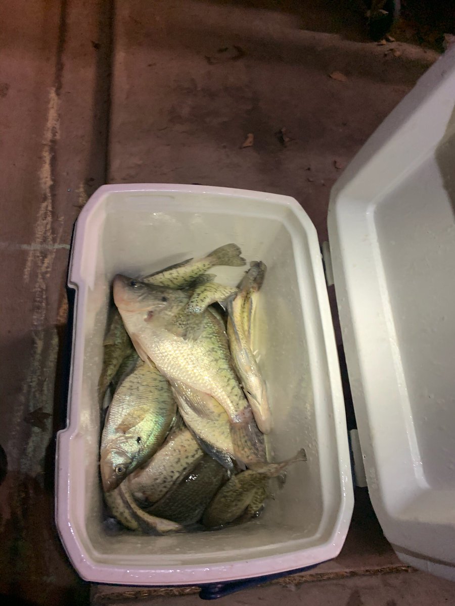bite_tn tweet picture