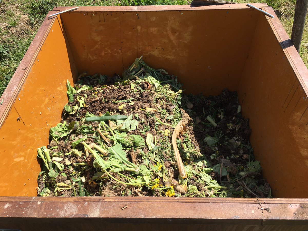 Sawagani550 昼から使う堆肥を畑まで取りに来た 左の枠には熟成中の生ごみ堆肥 右の枠は毎日あたらしい調理くずや畑の 野菜くずを投入中 数ヶ月で土になる