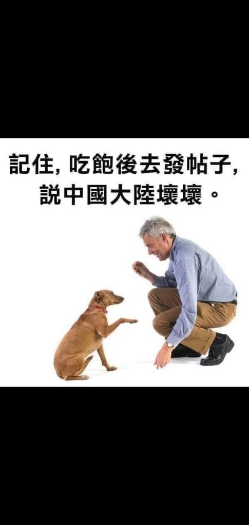 niyikuan's tweet photo. @JefeYu @PDChinese https://t.co/tAY8VEKrkk