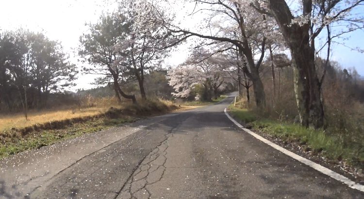 dy3_t's tweet photo. 本日のASAREN。
ソロでぐるっと山を通って桜を眺めて、同じソロサイクリストさんに手を振られて元気をもらい、自販機のmaxcoffeeで休憩。
朝早めで周りに人もいないので、コーヒーブレイク演出自撮りなんかも堂々とw
そんな感じで楽しんできました(´∀`)
#本日のASAREN
#RLaF
#GMR_J https://t.co/yfUABVjKnV