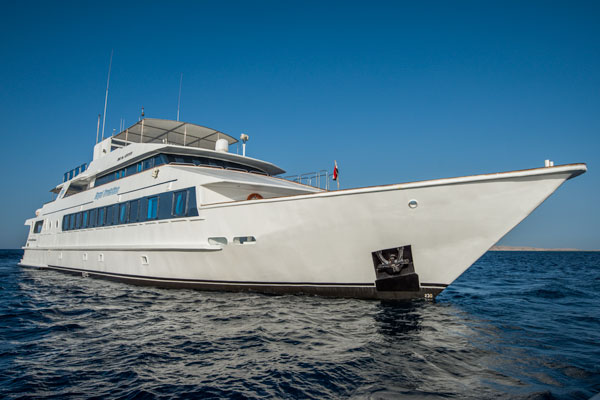 _liveaboards_'s tweet photo. 🌐❗ Early Bird Royal Evolution 10% OFF ❗

Plan your next holiday and travel Sudan on 2021!
Booking valid until 30th December 2020.

🌐 https://t.co/7runHVC2C1
📧 info@all4divingliveaboards.com
📱 +62 811-3999-647 (WhatsApp)
📞 +1 (424) 400 2323

#sudan #liveaboards https://t.co/eLJveKFSR7