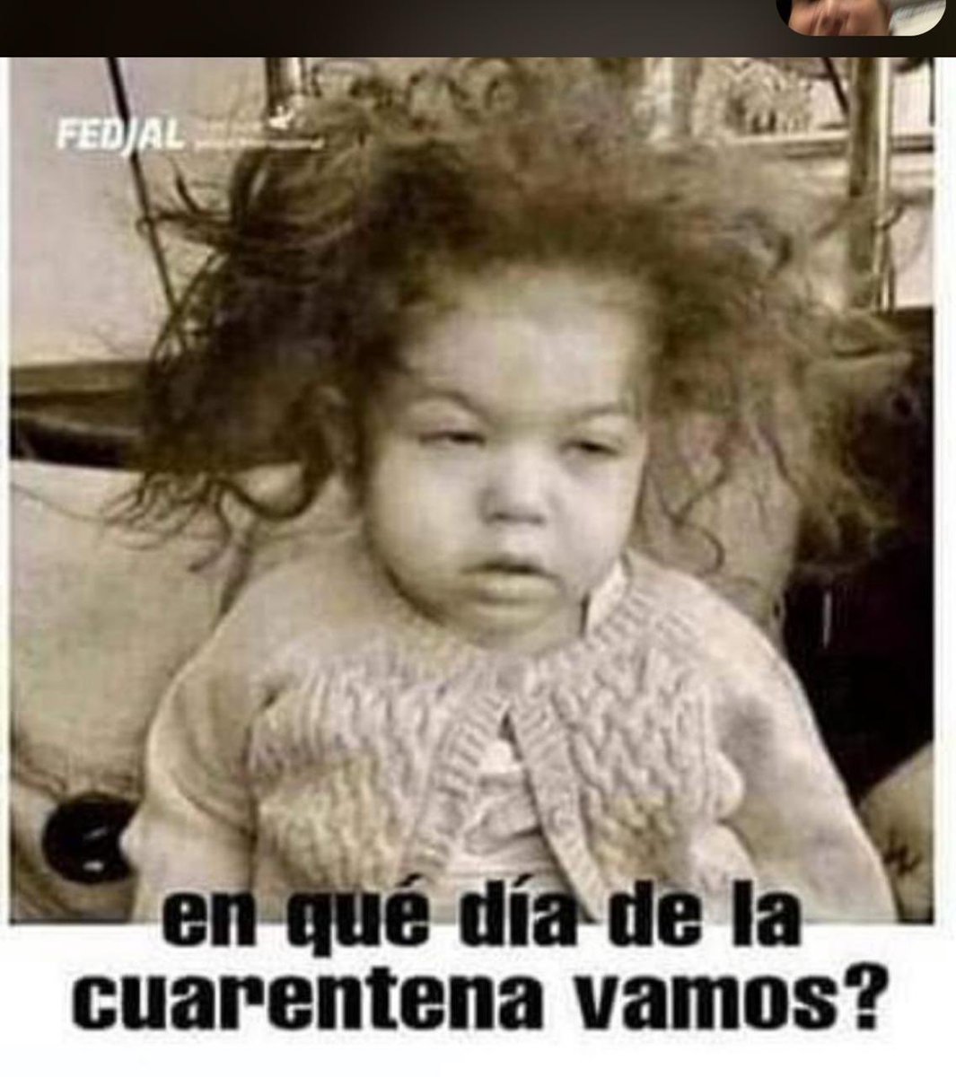 sofimonterow's tweet photo. 🥴🥴🥴🥴🥴 jajajaja https://t.co/ZvZw7tHZYc