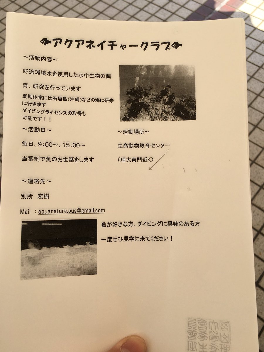 anc_2018's tweet photo. アクアネイチャークラブはスカイテラス上中央 ソフトテニス部さんの隣にブースがあります。ビラも配っています。少しでも気になったら是非！来てください！ https://t.co/34yARZTl9V