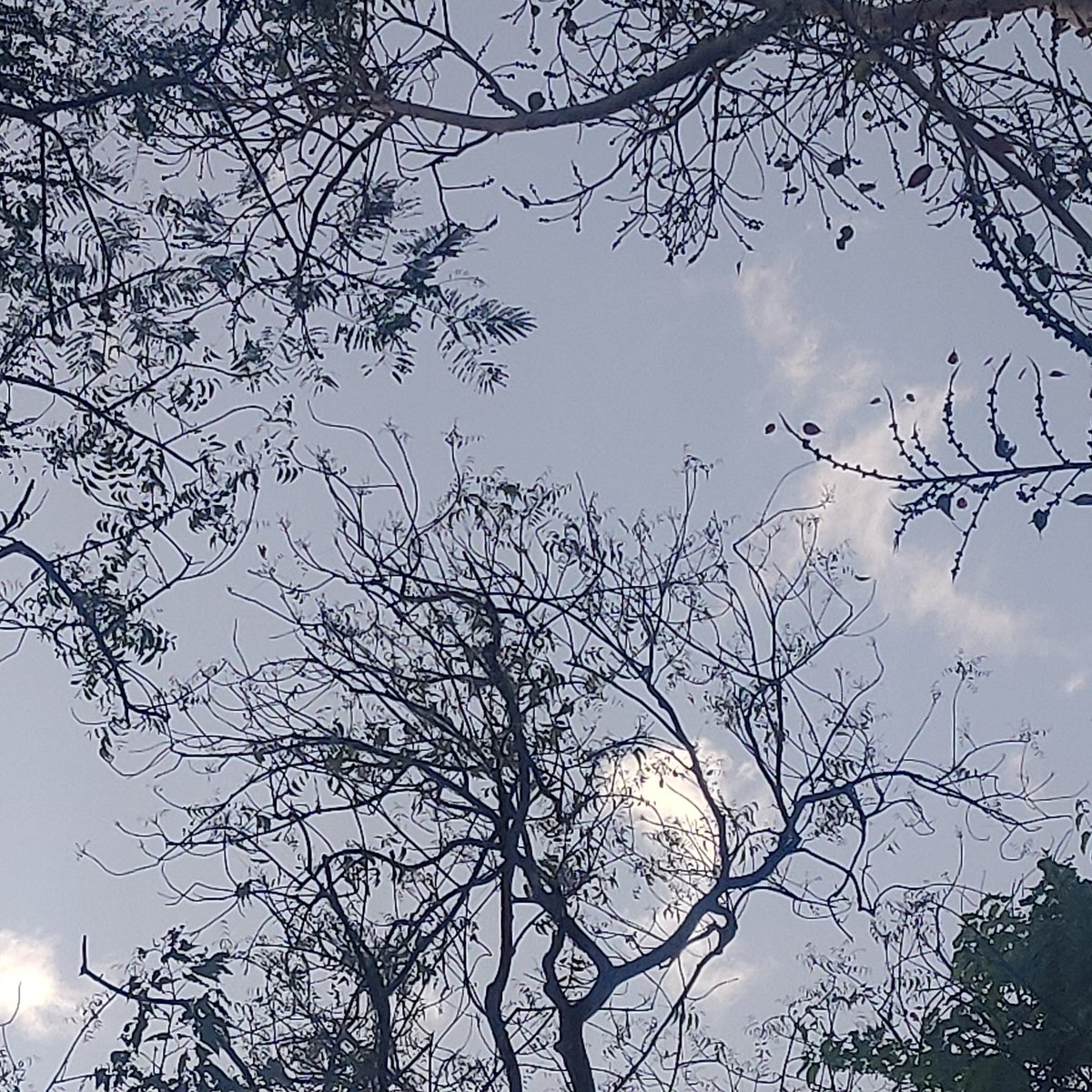 You may not control all the events that happen to you, but you can decide not to be reduced by them.
Maya Angelou
#SaturdayThoughts 
#PositiveVibes
#LifeInTheTimeOfCorona