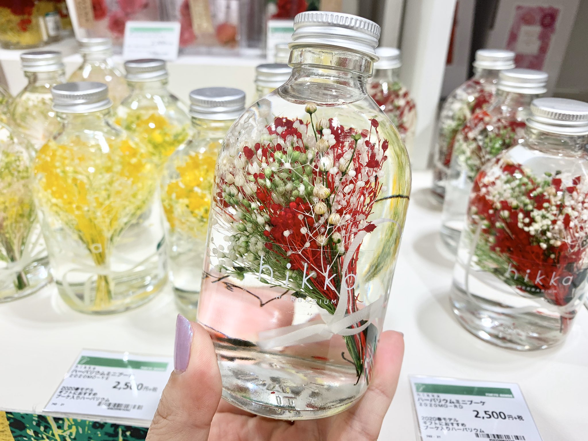 東急ハンズ梅田店 色鮮やかなドライフラワーが楽しめるハーバリウム各種 来月の 母の日 に向けていかがでしょう お家でお花見気分も味わえますね 10f T Co Gg2pahyrsb Twitter 東急ハンズ梅田店 色鮮やかなドライフラワーが楽しめるハーバリウム各種 来月の 母の日 に向けていかがでしょう お家でお花見気分も味わえますね 10f T Co Gg2pahyrsb Twitter
